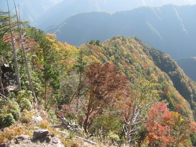 焼け尾根から振り返る