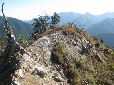 焼け尾根の禿尾根渡り