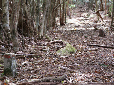 坊主上ヶの古道