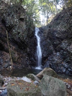 P1000853_1.jpg (164 KiB) 閲覧された回数 5989 回 ヤケギ谷最初の10m滝