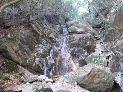 P1000854_1.jpg (197.06 KiB) 閲覧された回数 5989 回 末広がりの滝