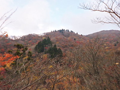 ●気になるピーク、ナニか有る予感がする。
