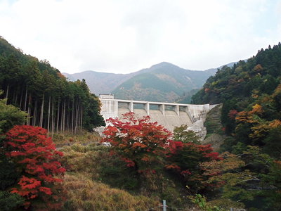 ● ９日の夜はモミジと一献