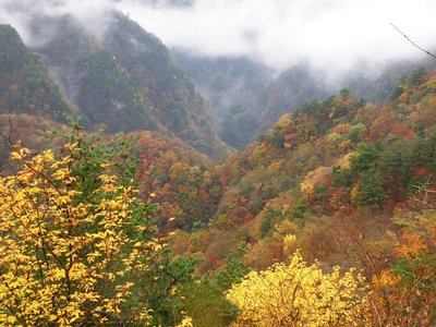 昨年11月3日の滝見尾根近くから眺望。ことしはもっと良かったろうな。