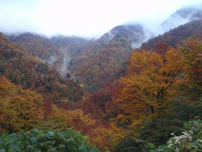 冠山林道からの朝の紅葉