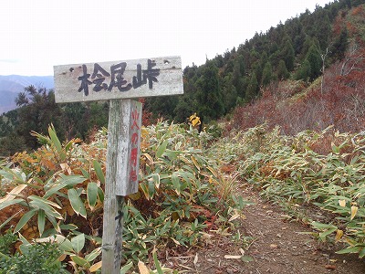 開かれた金草岳への登山路