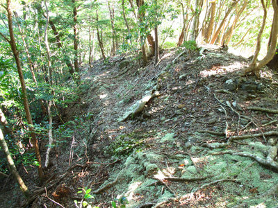 坊主尾根にむかう道
