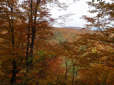 黄葉紅葉が全開