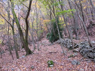 IMG_0095_400.jpg (74.8 KiB) 閲覧された回数 5178 回 オゾ谷