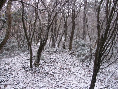 踏み跡も判らない銀世界