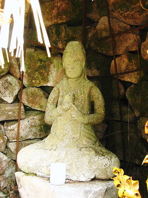 〇 念ずれば通じるカモ