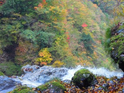 布引滝二段目滝口と下の紅葉