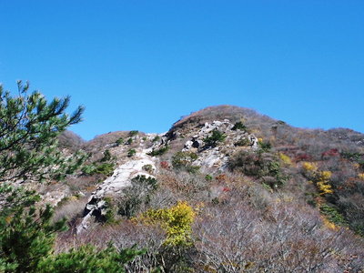 ●昨日は雪明け好いお天気でしたよ。