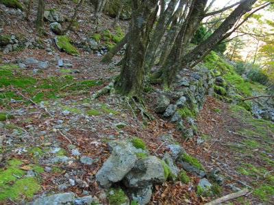 IMG_6333.jpg (465.04 KiB) 閲覧された回数 6473 回 宮ノ平