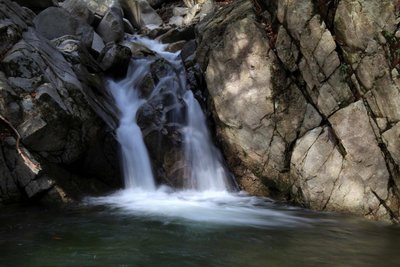 IMG_1899.JPG (143.21 KiB) 閲覧された回数 4858 回 コリカキ場