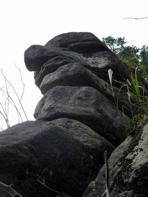下から見上げたお金明神