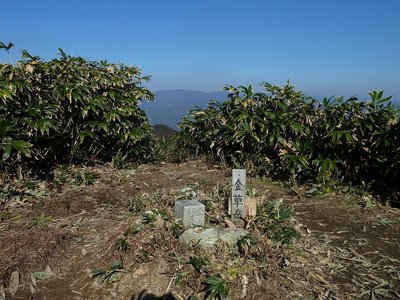 金草山山頂にて