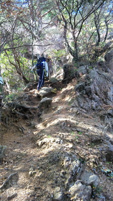 仙鶏尾根登り.jpg