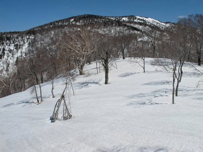 猿ヶ馬場はデカイ