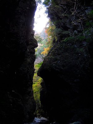 行合から覗く紅葉