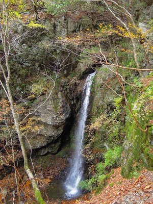 七万石滝上の思わぬ滝。