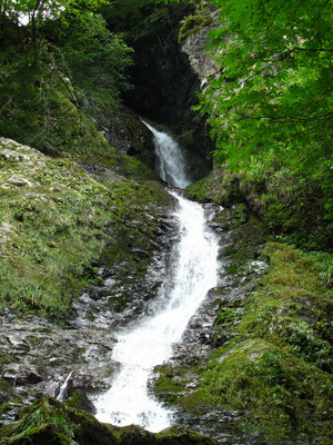 IMG_6068.jpg (496.21 KiB) 閲覧された回数 4335 回 黒滝