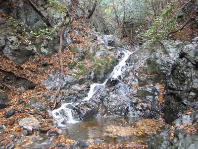 P1000956_1.jpg (270.05 KiB) 閲覧された回数 2900 回 斜滝 楽しく直登