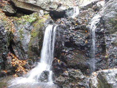 P1000964_1.jpg (244.31 KiB) 閲覧された回数 2903 回 これは巻いたかな?