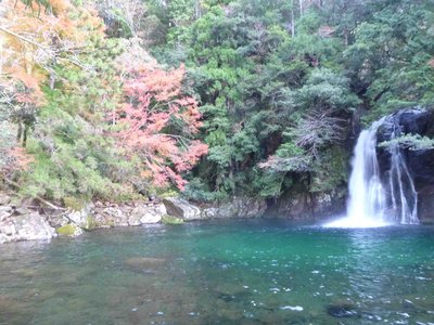 P1010049_1.jpg (180.86 KiB) 閲覧された回数 3631 回 紅葉と筆藪滝