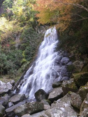 P1010081_1.jpg (233.08 KiB) 閲覧された回数 3635 回 ケヤキ原滝