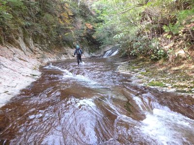 P1010109_1.jpg (264.32 KiB) 閲覧された回数 3637 回 ナメ