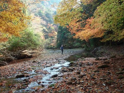 紅葉ナメの兎夢氏