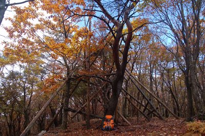 国吉峠（厳密にはこの最高点をいうみたいですが、実際はこの辺一帯をさすときにも使っています）