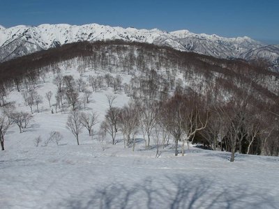 帰雲山の向こうに白山北方稜線