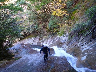 留湾殿滝を登るシュークリームさん