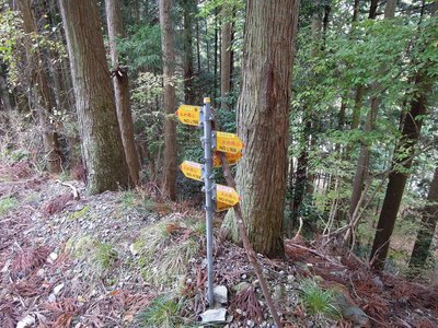 入り口です.jpg (505.93 KiB) 閲覧された回数 5868 回 巡視路の入り口です