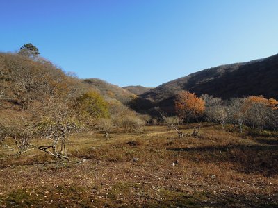 奥の畑.jpg (334.54 KiB) 閲覧された回数 5869 回 畑の跡地?