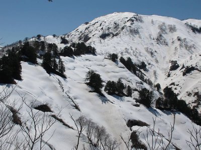 仙人さま遥かなり