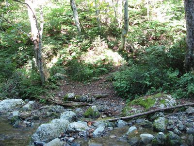 取付き点の表示（左から３本目の木の幹）