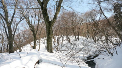 なんと流れの左が尾根!!