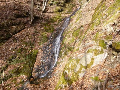 P1010159_1.jpg (467.68 KiB) 閲覧された回数 3378 回 ナメ滝