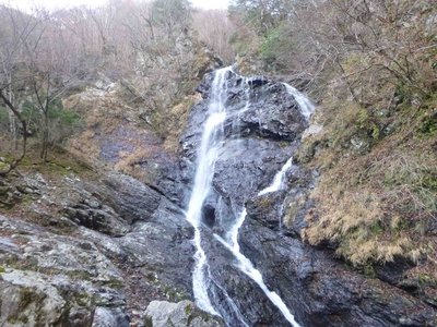 P1010175_1.jpg (267.06 KiB) 閲覧された回数 3364 回 サスケ滝