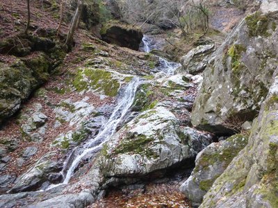 ワサビ谷の斜滝　楽しく登れそう