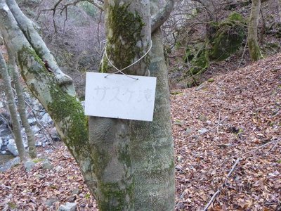 右岸側のサスケ滝の標識