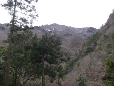 雪化粧した奥の平峰？