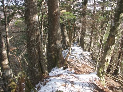 ヤセ尾根の急坂を下る