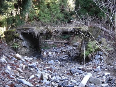 DSC01240.jpg (196.41 KiB) 閲覧された回数 6772 回 なぜか現れる朽ちた橋