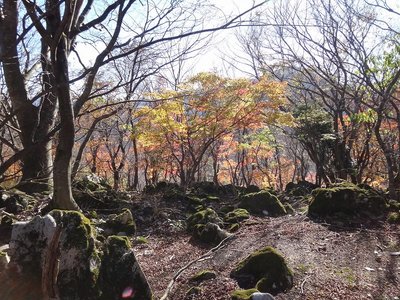 DSC01249.jpg (196.49 KiB) 閲覧された回数 6772 回 ナガサコ598m