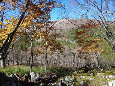ナガサコから霊仙山を見上げる