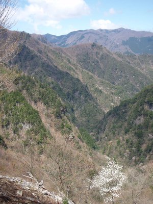 2008年4月20日の写真